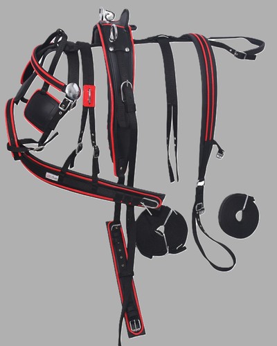 Nylon webbing driving harness - webbing,