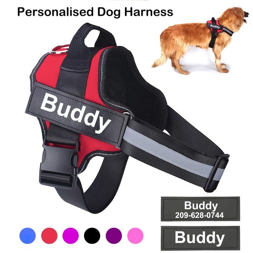 Personalized dog harness - dog,