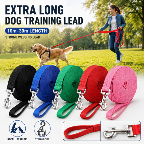 Extra long dog - extra,