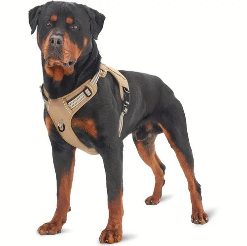 Dog harness reflective edge - reflective,