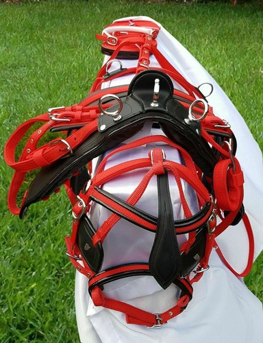 Nylon webbing driving - webbing, cart
