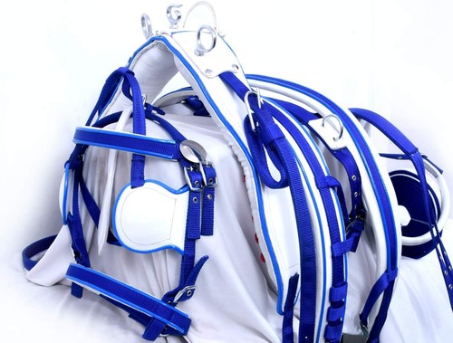 Nylon webbing driving harness - nylon,