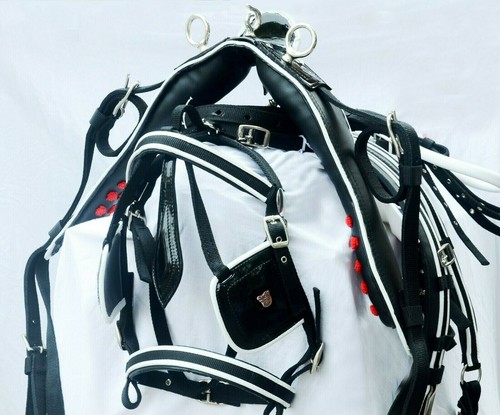 Nylon webbing cart driving - webbing,