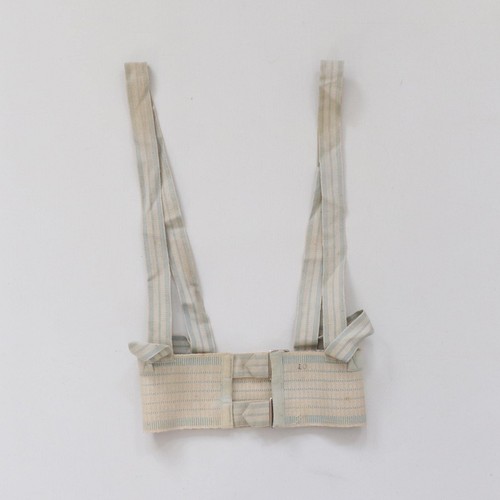 Vintage webbing harness