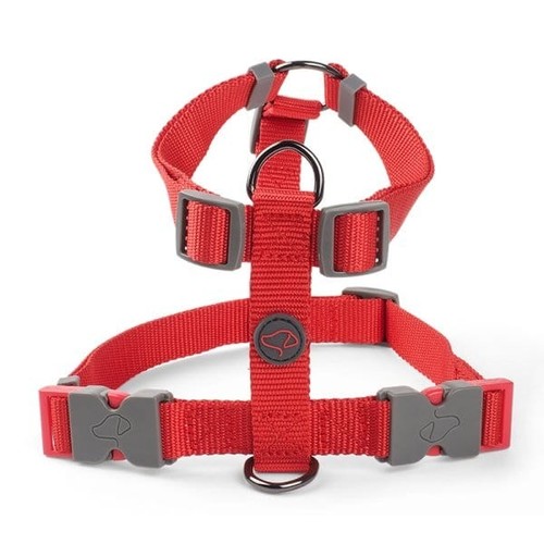 Zoon walkabout dog harness - zoon,