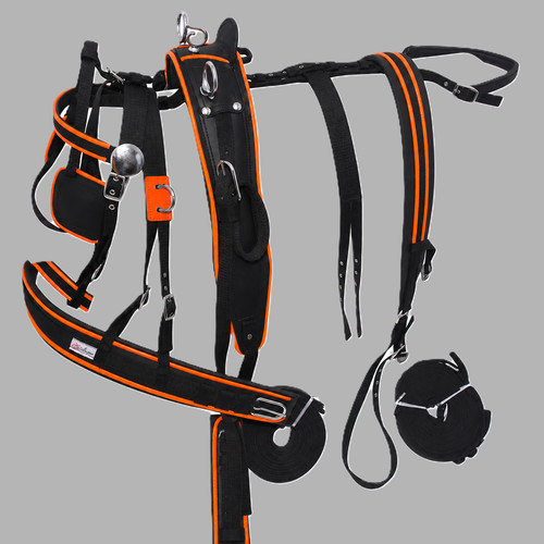 Nylon webbing driving - webbing,