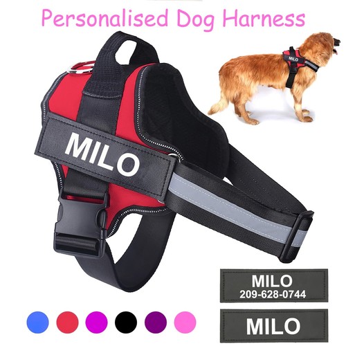 Personalised dog harness - personalised,