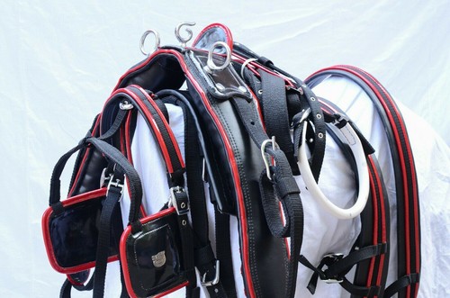 Nylon webbing driving harness - nylon,